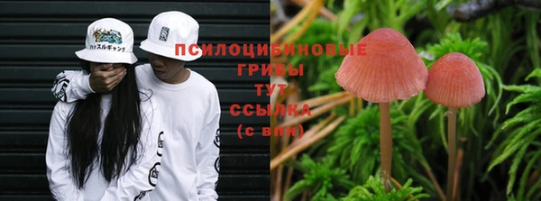 дурь Зеленодольск