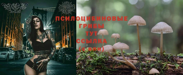 экстази Зерноград