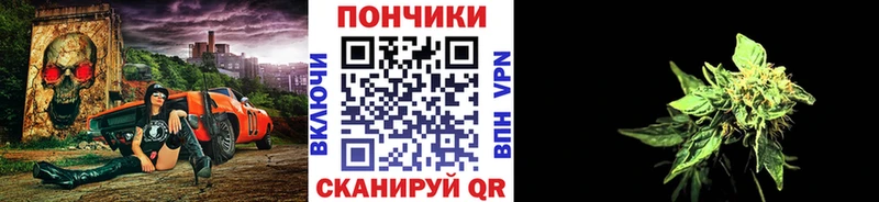 Купить где Кяхта Канабис планчик